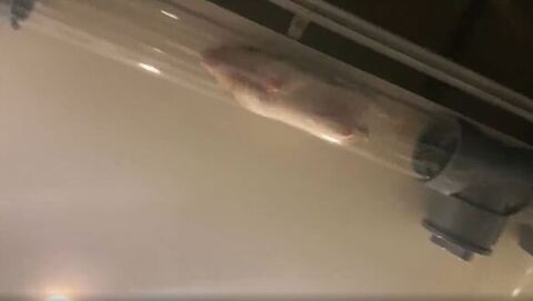 パイプ下から撮影