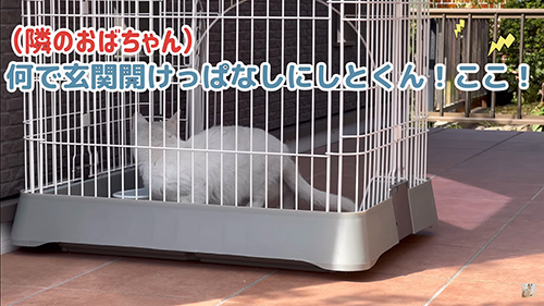 近所のおばちゃん