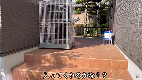 入ってくれるかな？