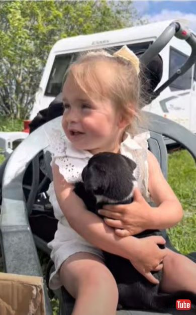 子犬を抱っこしている女の子