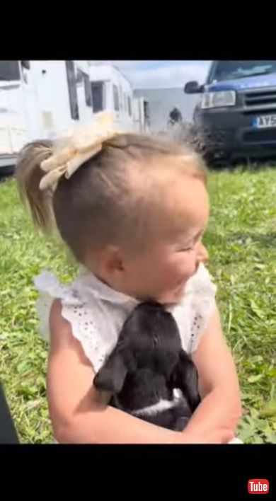 ワンちゃんになめられる女の子