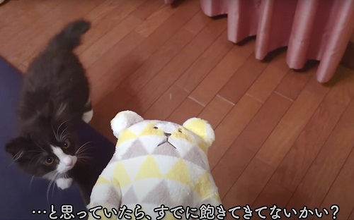 興味なさそう