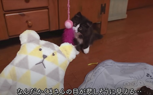 興味なさそう