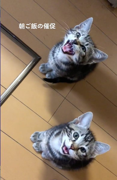 オススメ