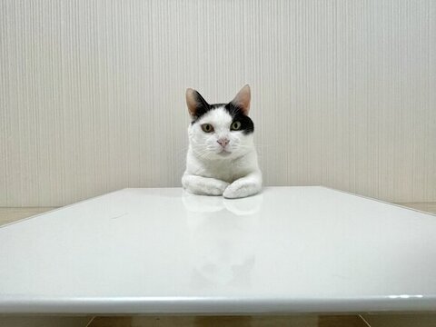 べるるくん