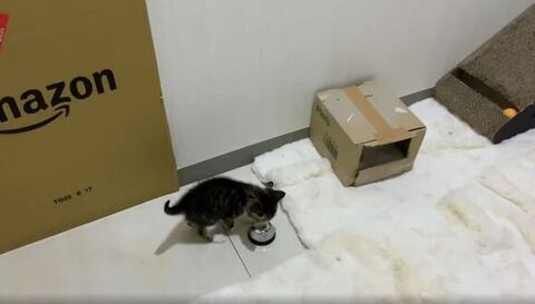 呼び鈴に顔近づける
