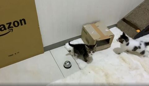 前をみつめてる