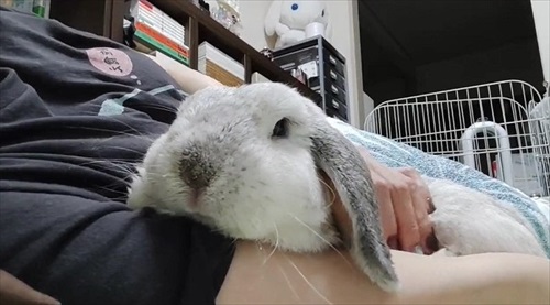 ベスポジを探す