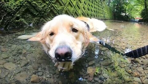 何かを集中して見てる