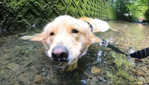 顔の位置を少し左側に移動