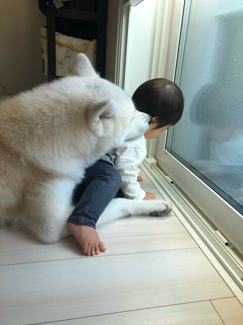 幼い赤ちゃんとワンコ