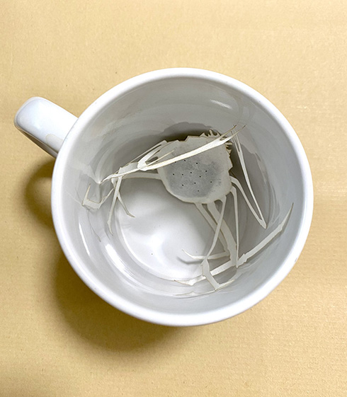 タカアシガニのティーバッグが想像以上にタカアシガニ　紅茶よりもダシが出そうな存在感