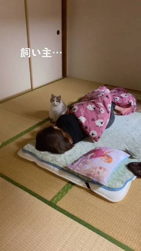 寝る飼い主と猫