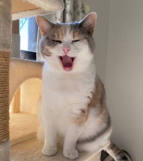 笑顔の梅丸ちゃん