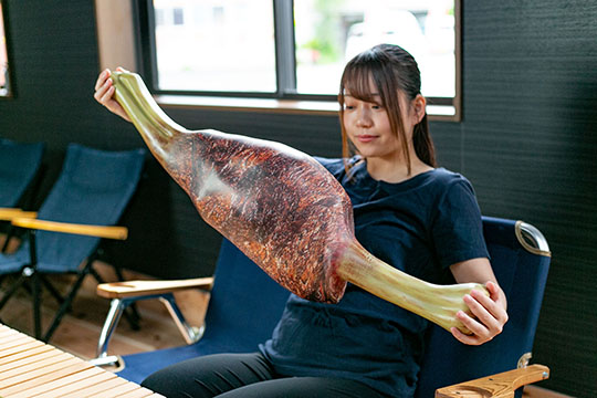 モンハン生肉こんがり肉多目的まくら