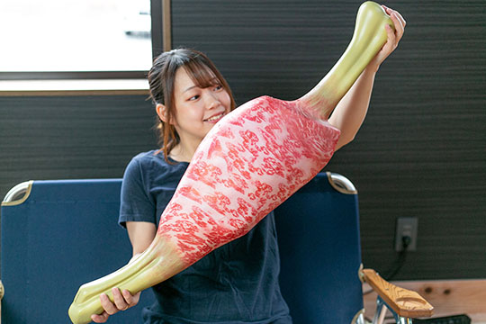 モンハン生肉こんがり肉多目的まくら