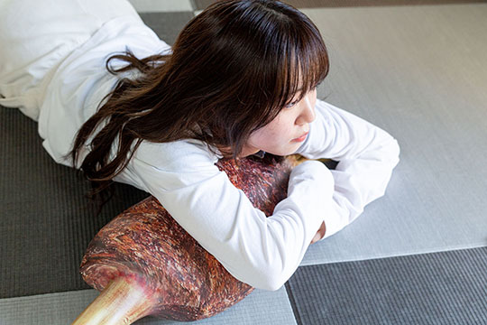 モンハン生肉こんがり肉多目的まくら