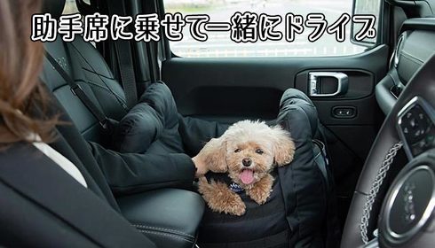 ペット用ドライブキャリーベッド