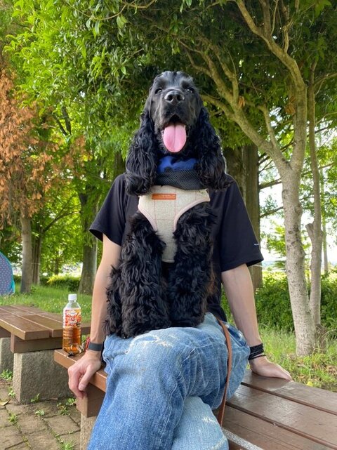 ヒザの上に座ってるワンコ