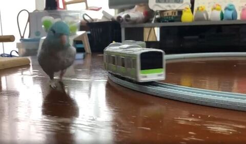 少し電車の方が早い画像