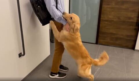 首元なでられてる