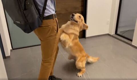 笑顔で飛びつこうとしてる