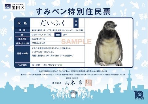 赤ちゃんペンギンの住民票