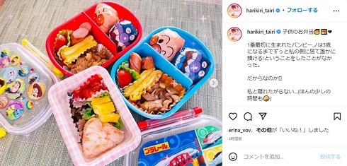 平愛梨が作った弁当