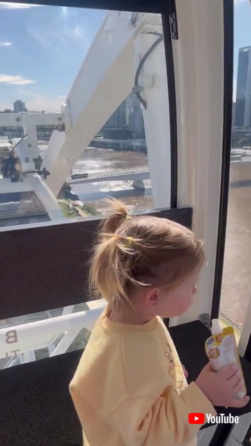 観覧車に乗った女の子