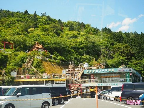 ガマの存在感よ