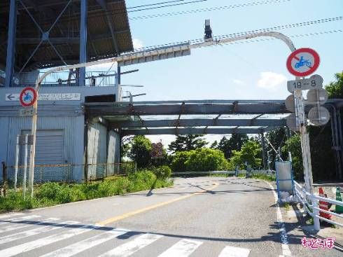 ここからが県道のスタートです