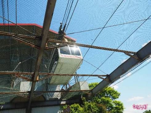 頭上をロープウェイが通っていきます