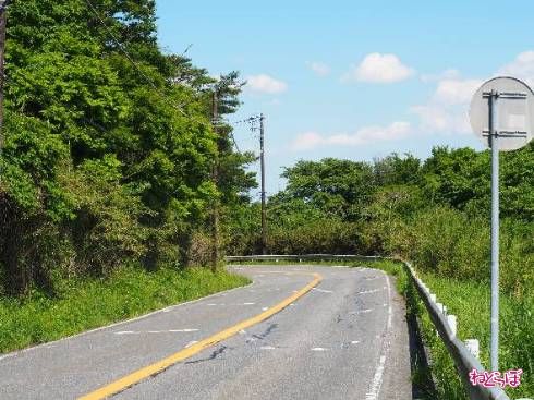 カーブをしながら山を下ります