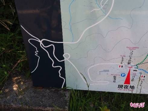 道路がぐるっと一回転しているのがわかる