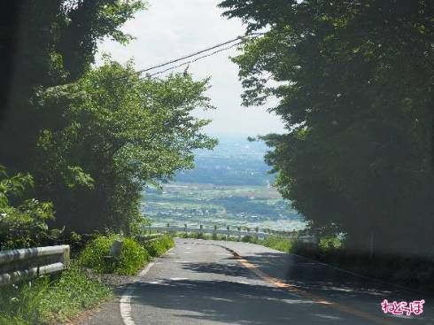 眺めは最高です