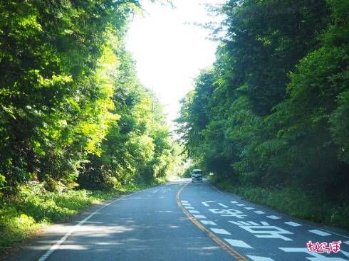 尾根沿いを通っていきます
