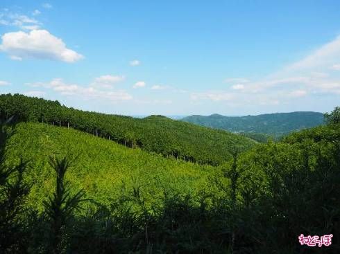 窓の外にはこの景色！