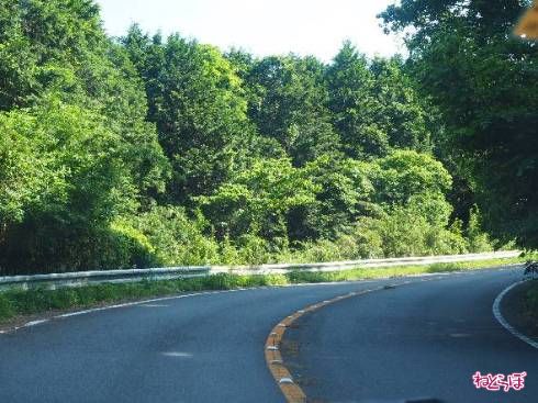 キャッツアイ（道路鋲）で対策されたセンターライン