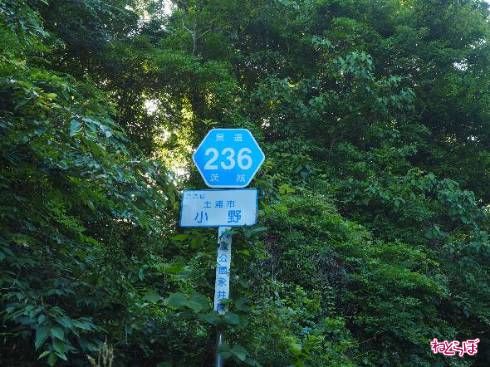 ちゃんと県道を示す「ヘキサ」もありました