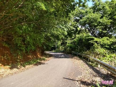 法面が人口のものから天然の山肌になりました