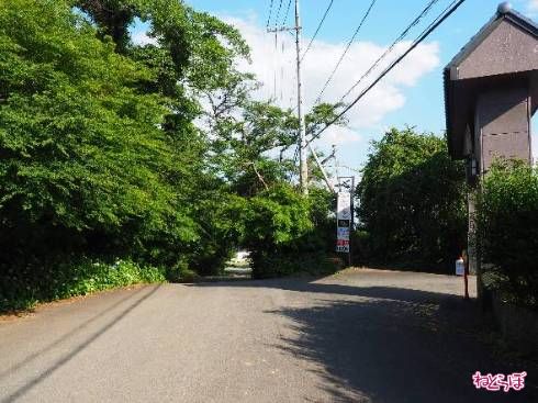 右手にいやしの里が見える。ここまでは小手調べみたいなもの