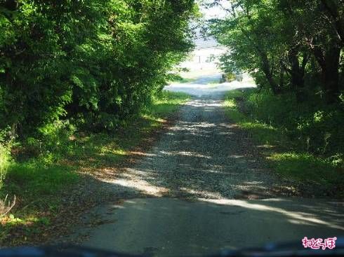 唐突に現れる砂利道