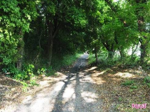 道路の中央には溝ができている