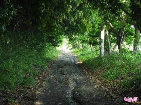 細心の注意を払って進みましょう