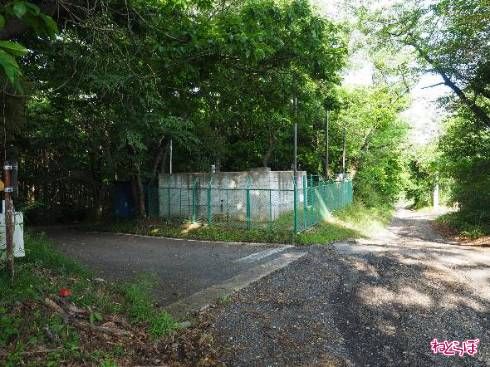 左側から舗装道路が合流