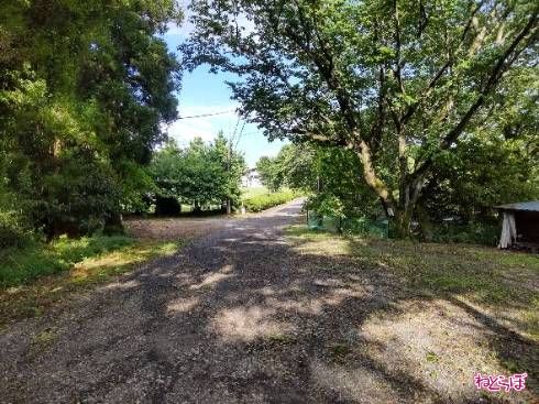 道が開け、目の前に青少年向け教育施設「中央青年の家」が