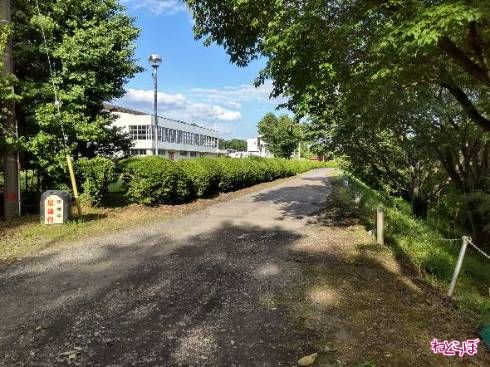 中央青年の家から先は再び舗装区間に