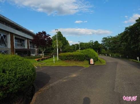 中央青年の家付近の様子。最徐行が求められる