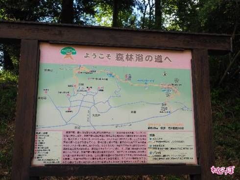 右下の永井バス停から左上のPマークまでは県道236号。県道はそのまま表筑波スカイラインに抜ける