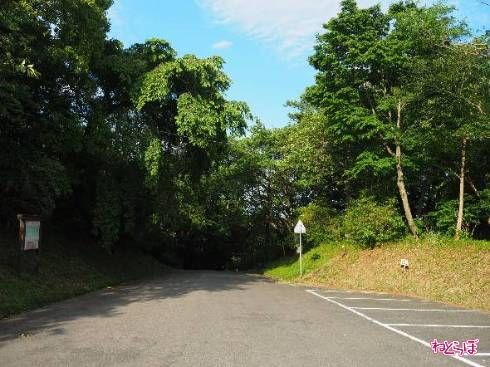 駐車場のある県道